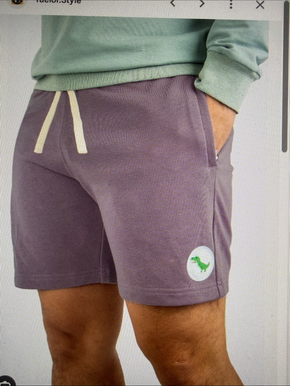 Eubi Mauve Athletic Lounge Casual Drawstring 7” Shorts Green Dino fun Patch XL
